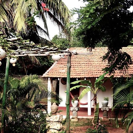 Allens Home Stay Τζάφνα Εξωτερικό φωτογραφία