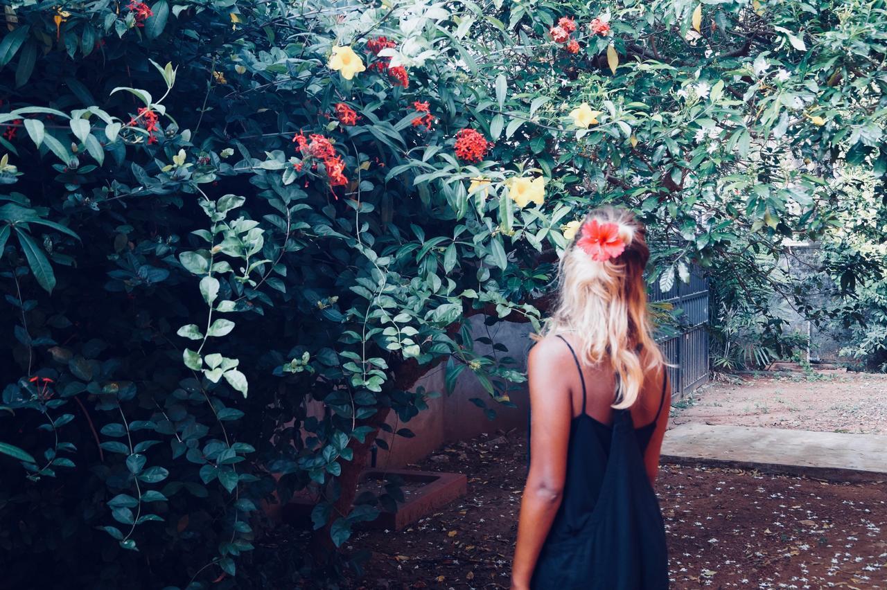 Allens Home Stay Τζάφνα Εξωτερικό φωτογραφία